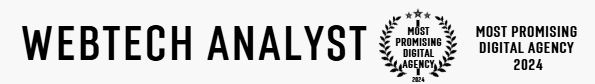 wEBTECH anALYST